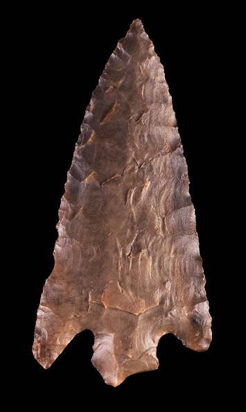 Elko Corner-notched Point