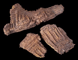 Patterned Yucca Basket Fragments