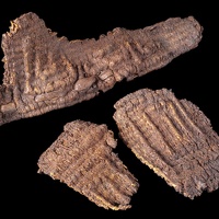 Patterned Yucca Basket Fragments