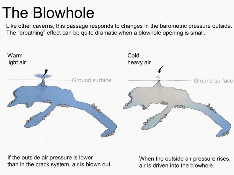 The Blowhole Interpretative Panel