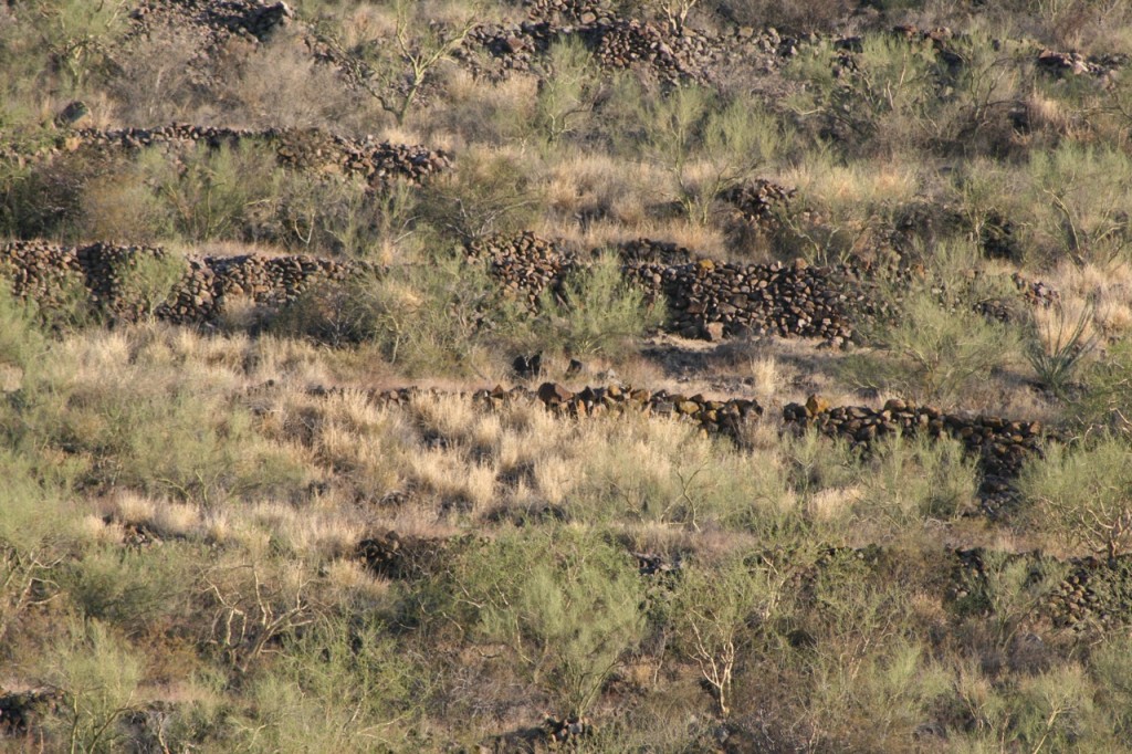 View of the trincheras at Cerro de Trincheras, Sonora, Mexico. 